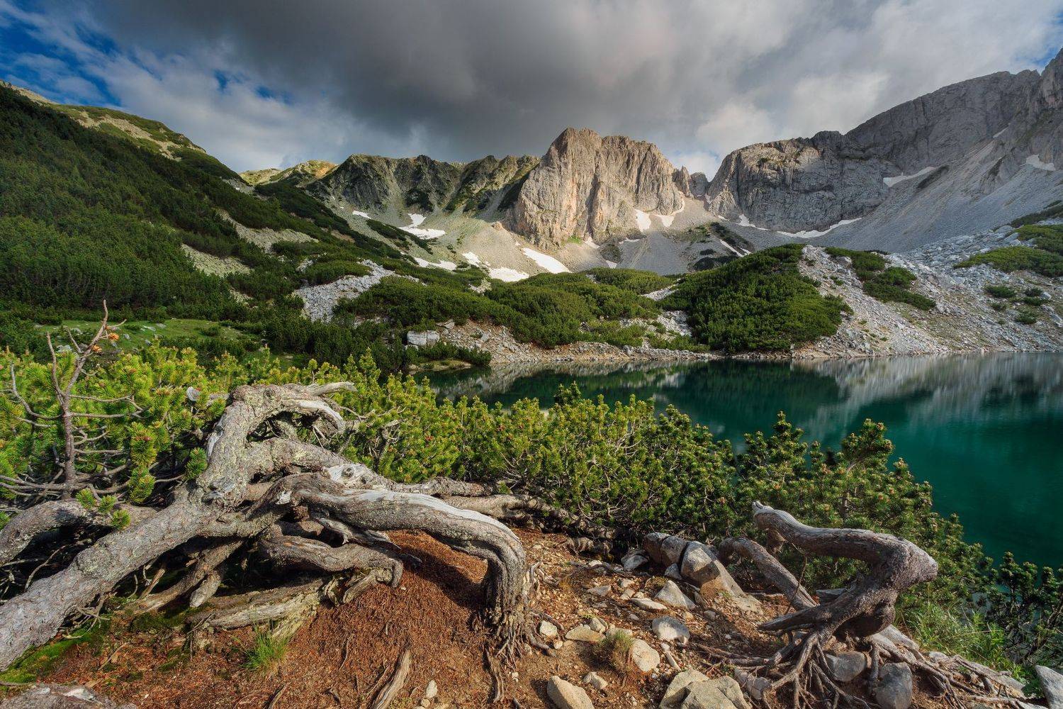 , Александър Сандев