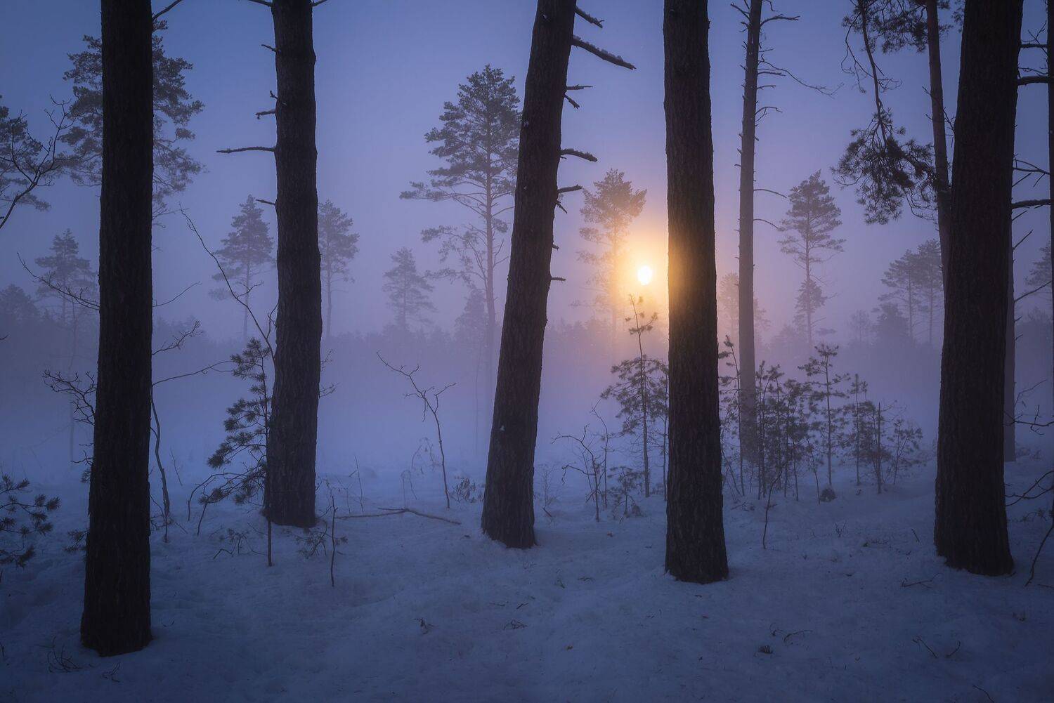 , Захаров Дмитрий