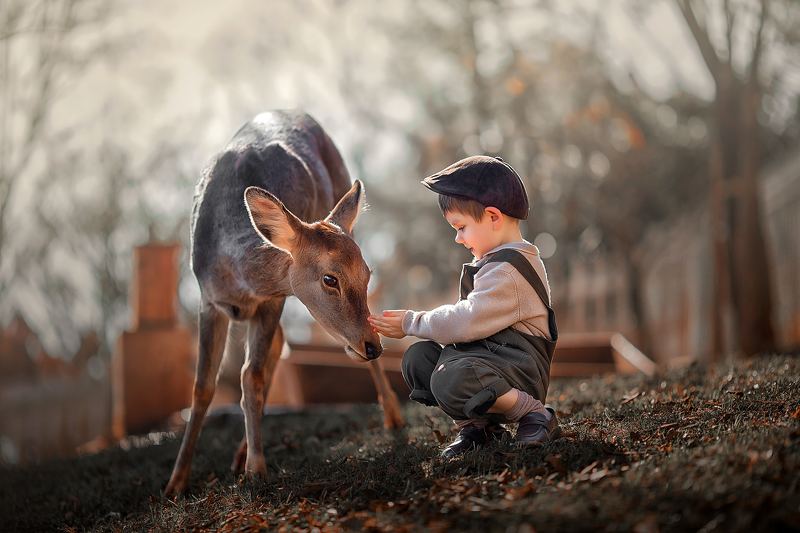 yao wenqi *** фото превью