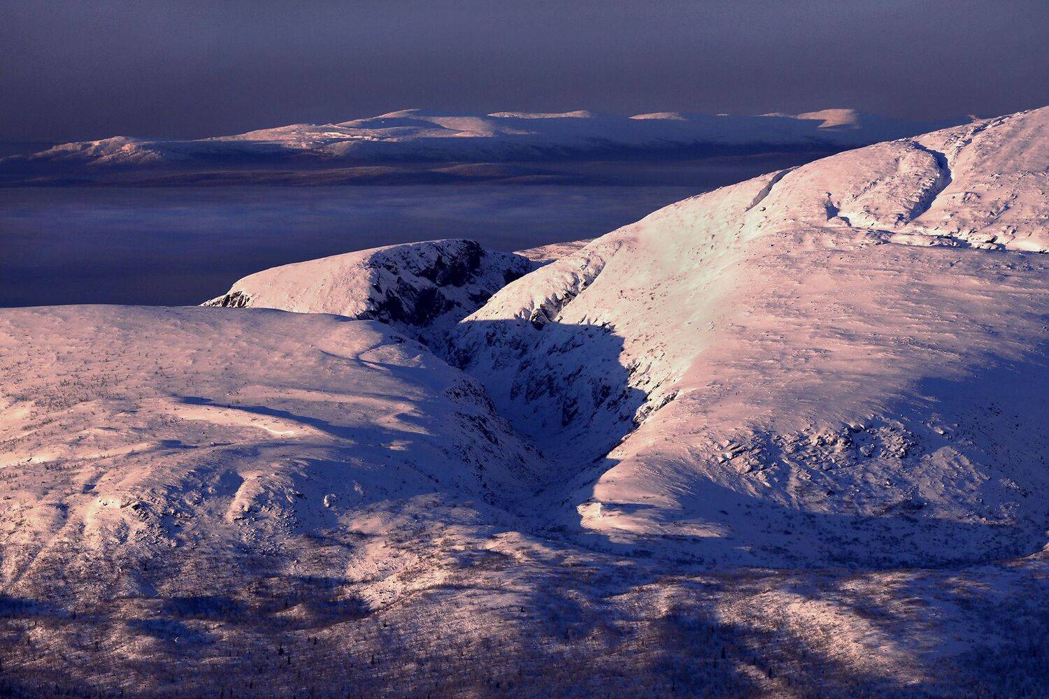 , Павел Мартюшев