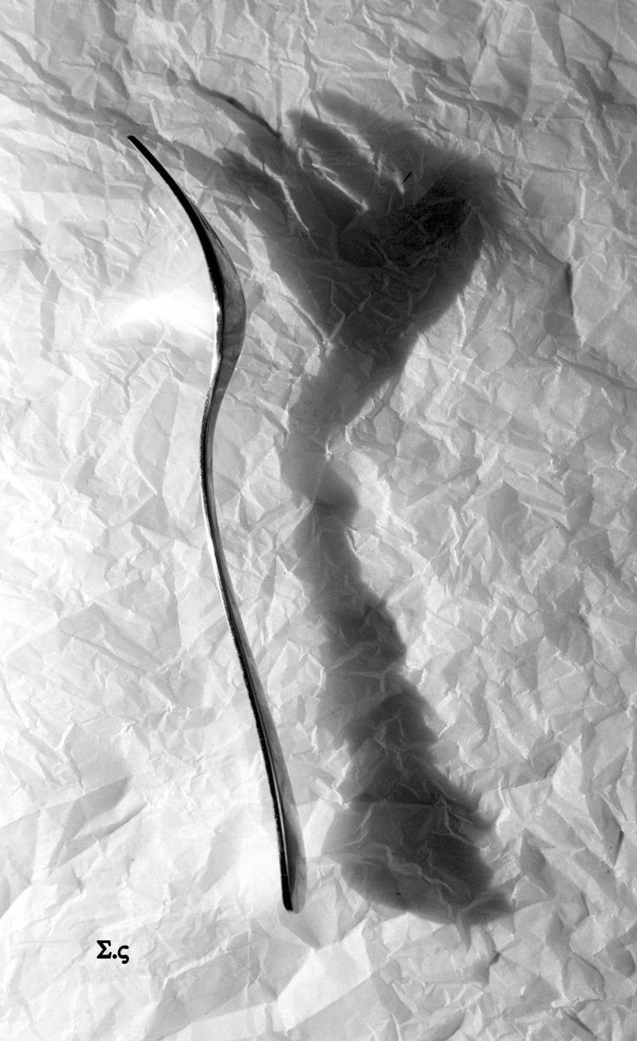 ВИЛКИ ТЕНИ FORK, Sergey Voronin