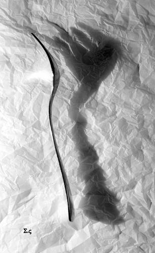 ВИЛКИ И ТЕНИ