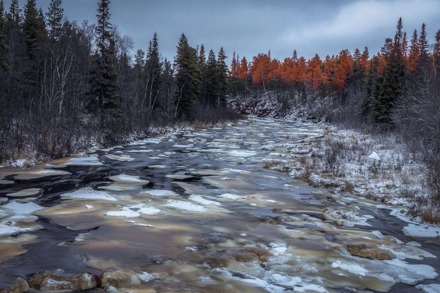 Кольский полуостров, Гусева Елена