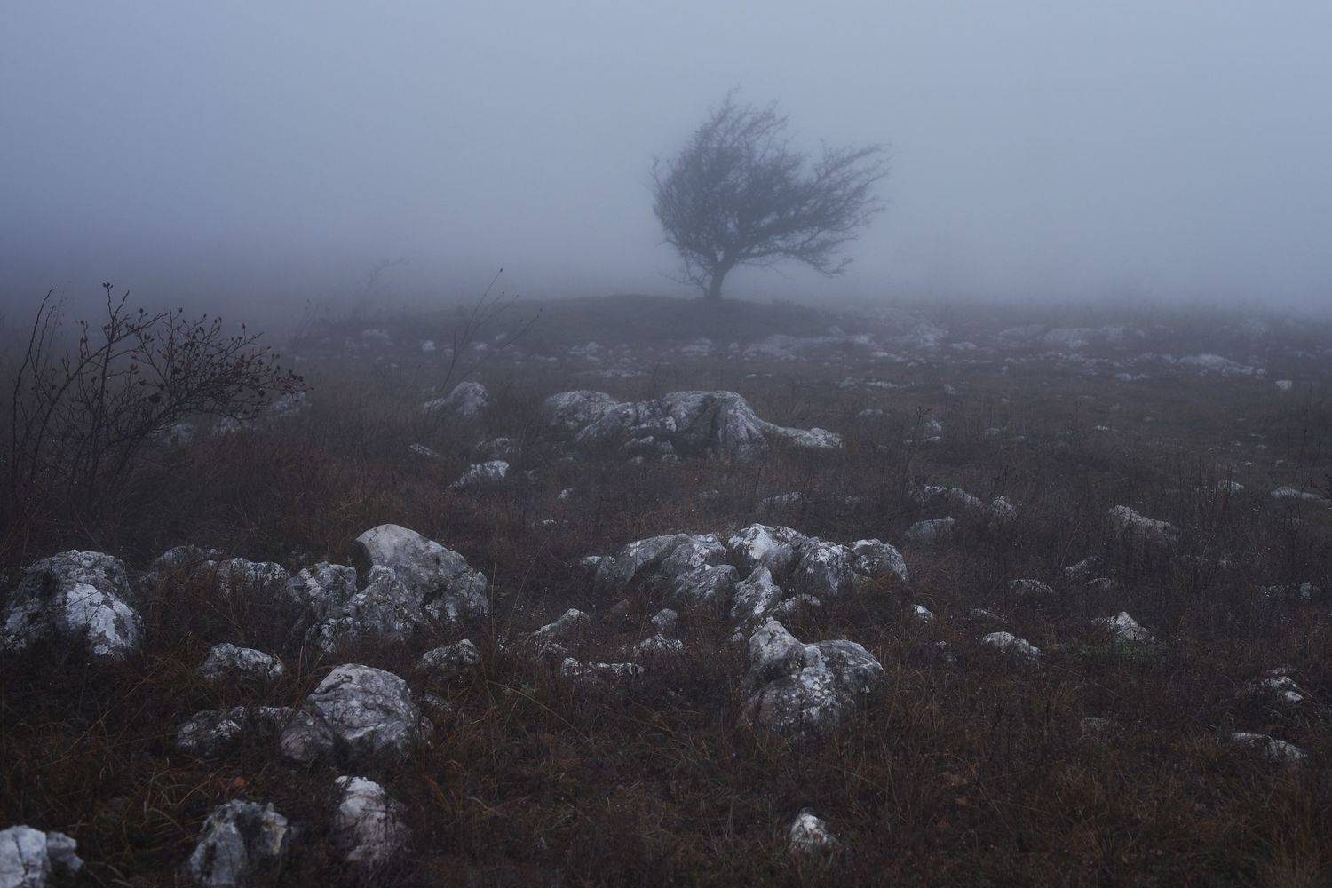 туман, Вьюшкин Игорь
