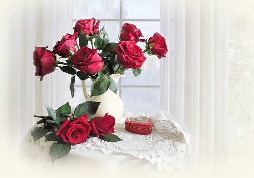 Зимние розы