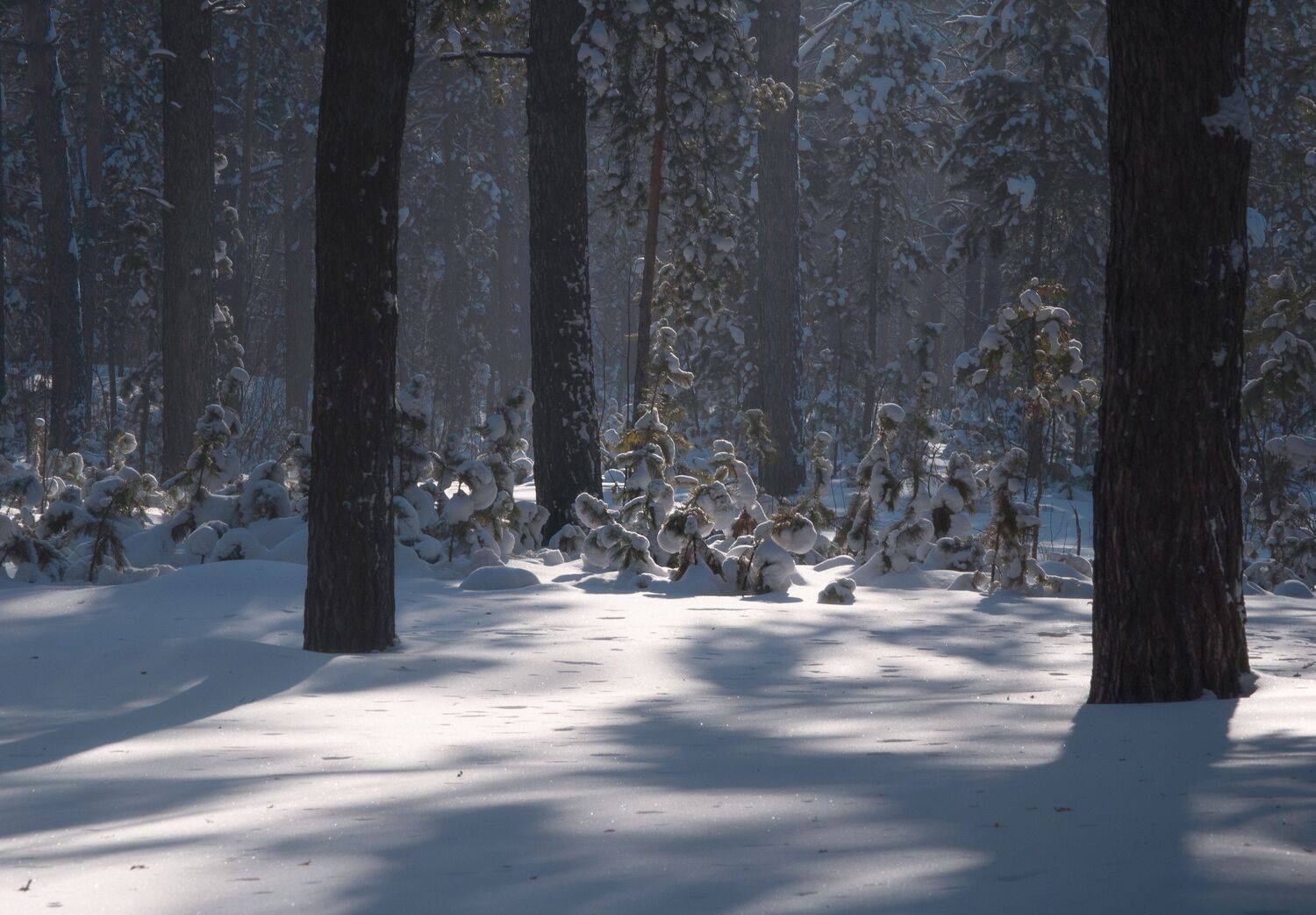 , Евгений Зинов