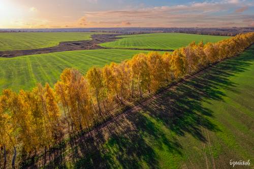 Краски осени