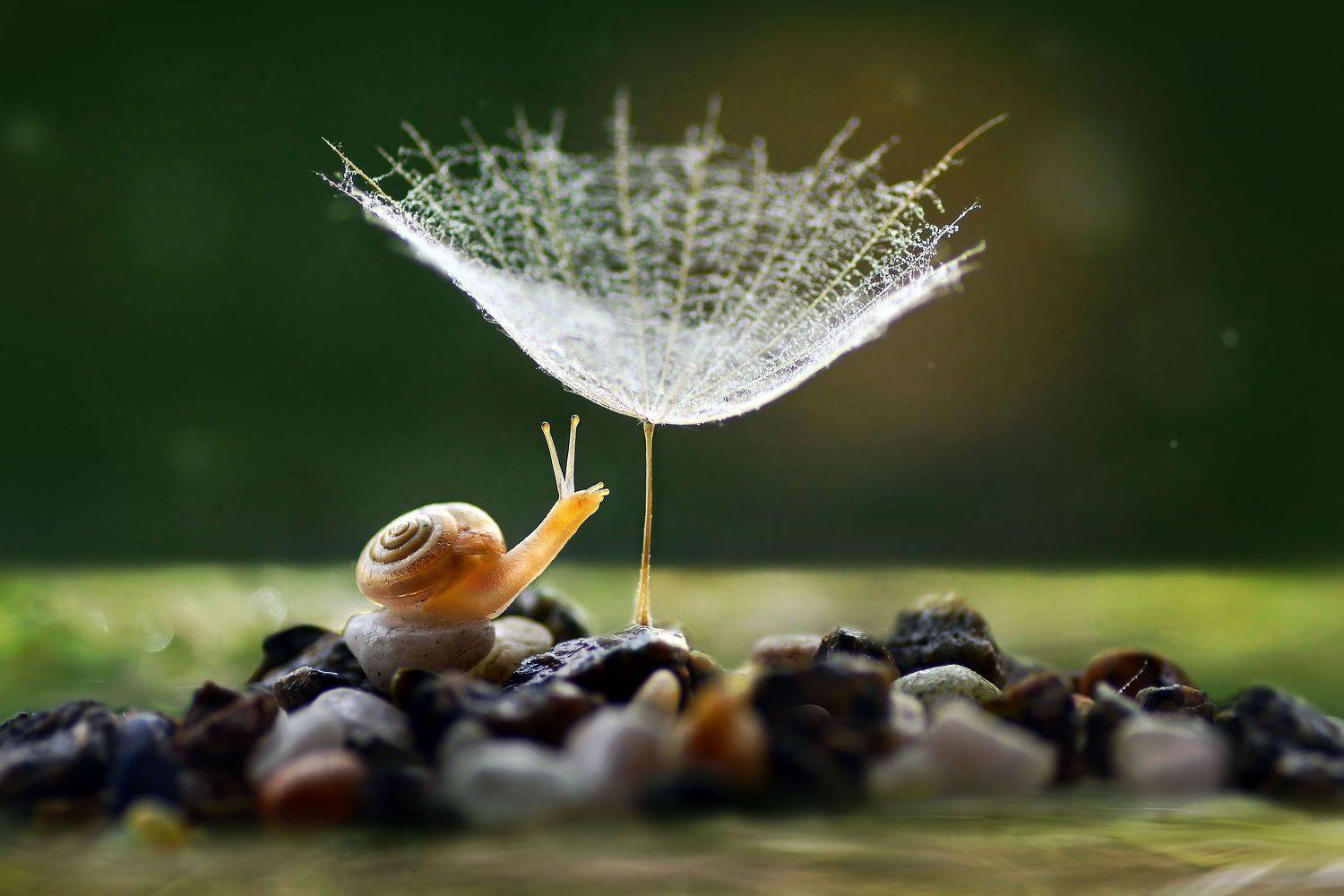 , Чернобай Анна