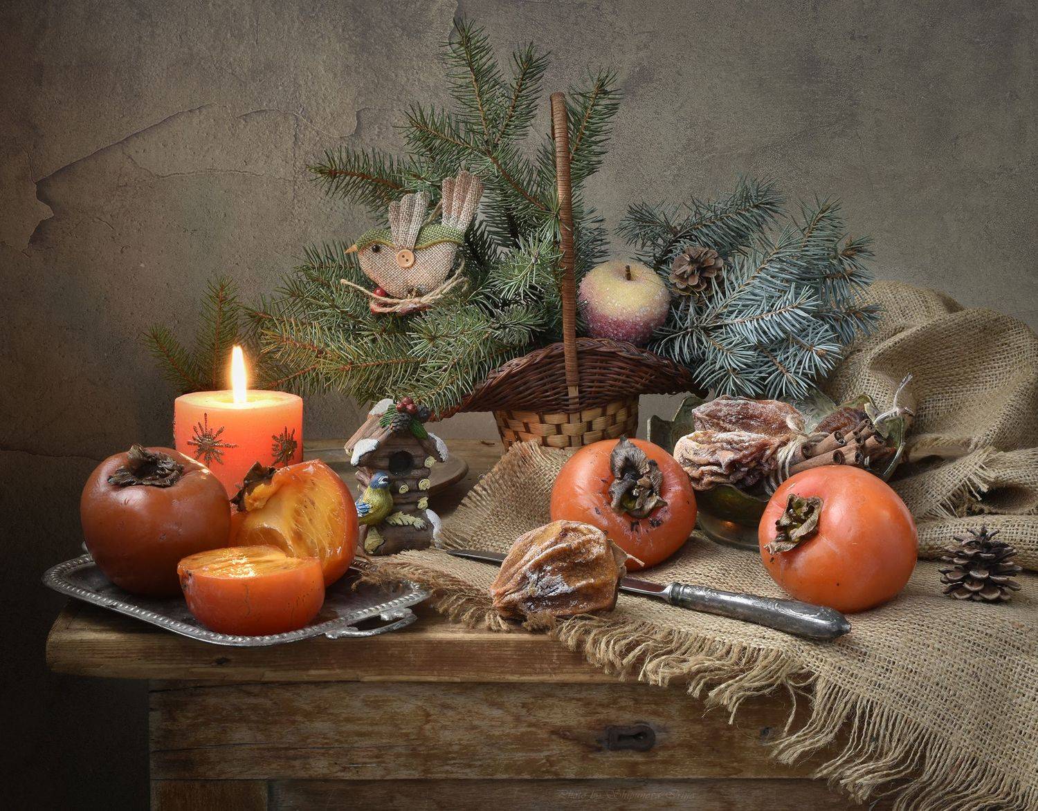 , Шипунова Ирина