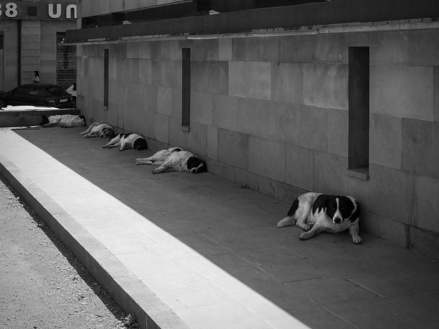 , Владислав Михайлов