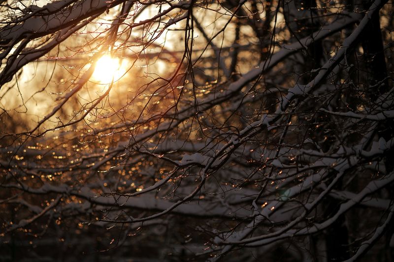 зима Холодное солнце фото превью