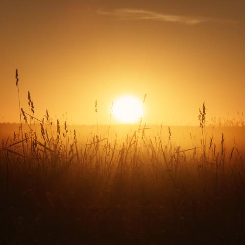 Знойное летнее Солнце