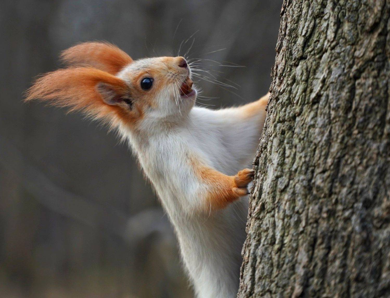 , Павел Сагайдак