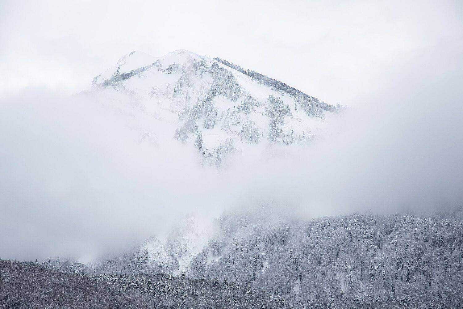 зима, горы, сочи, кавказский хребет, туман, Чавыкина Анастасия