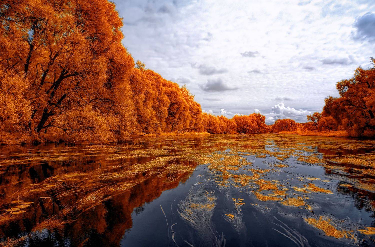 infrared,ик-фото,инфракрасное фото, инфракрасная фотография, пейзаж, лето,  Sixten (Сергей)