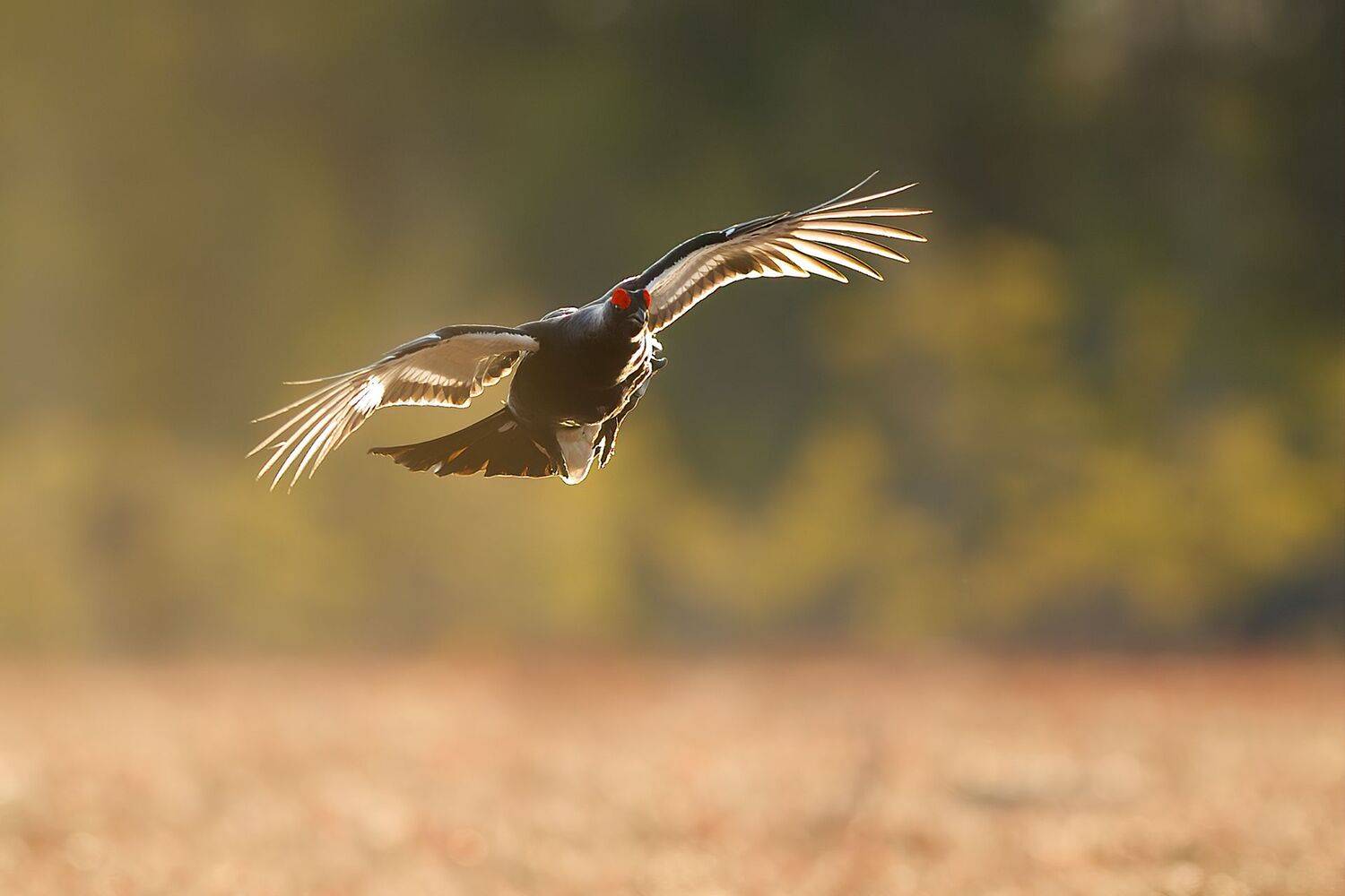 , Калинин Михаил