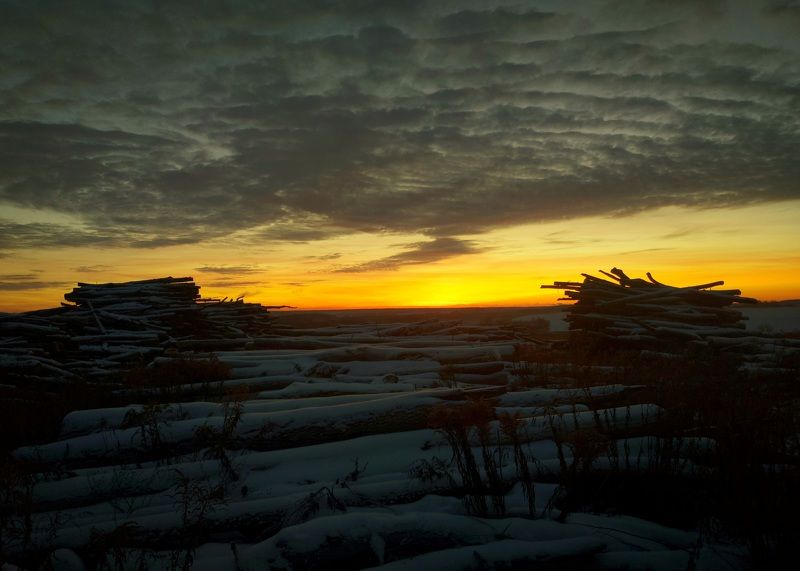 утро, небо, облака, рассвет, зима Рассвет на лесоповале. фото превью