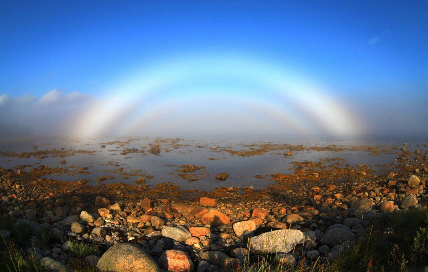 соловки, Перешеин Андрей