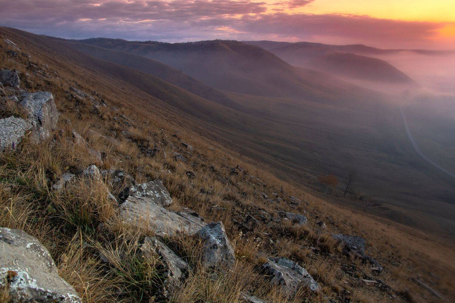 Автор: Антонов Антон , Антонов Антон