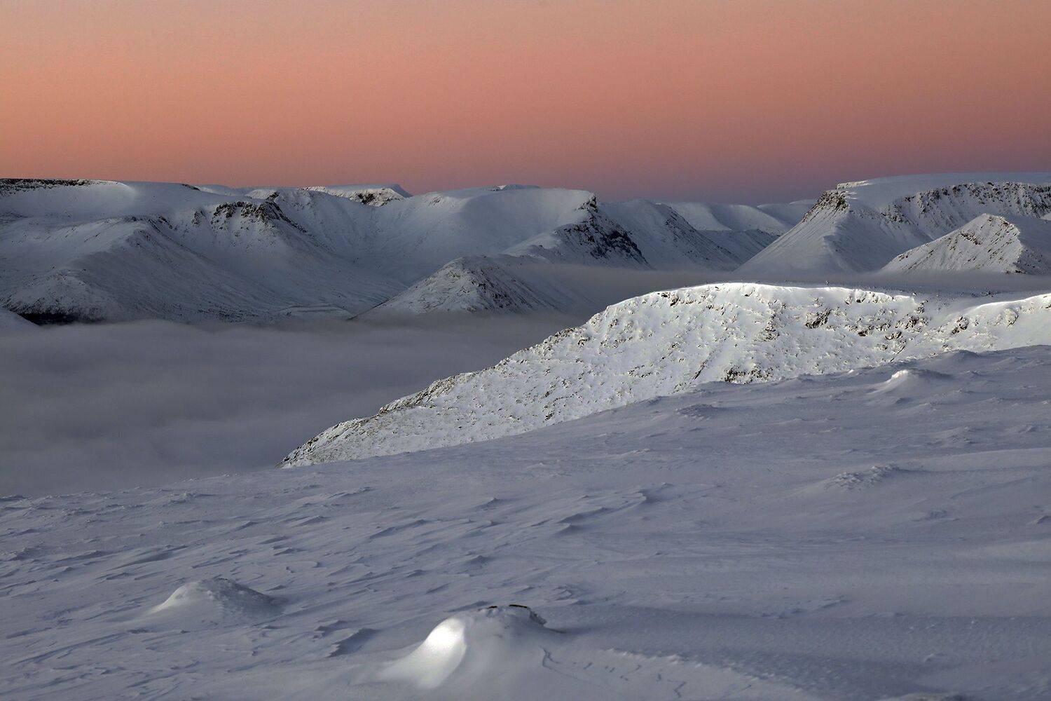 , Павел Мартюшев