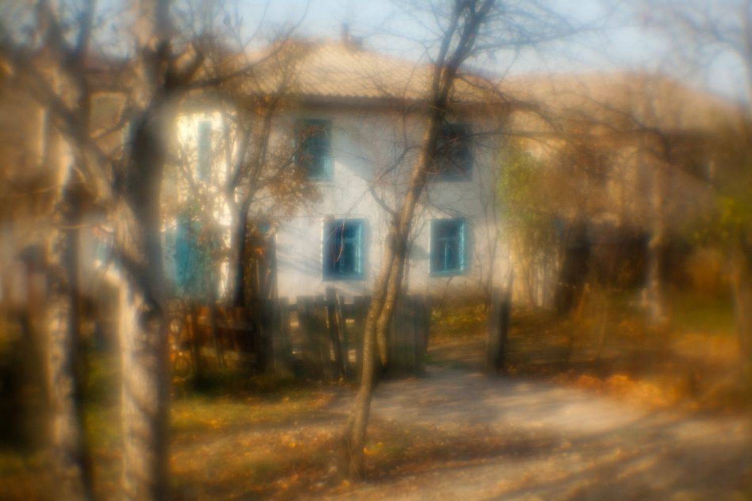 , Андрей Гусаченко