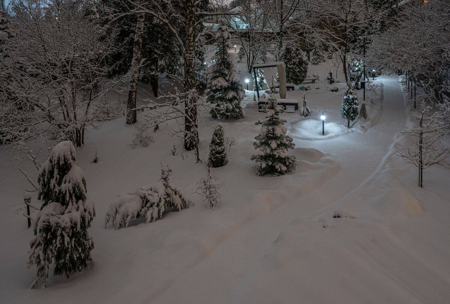 , Курлянцев Алексей