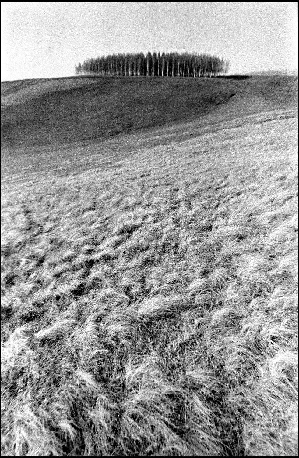 , Меднов Влад