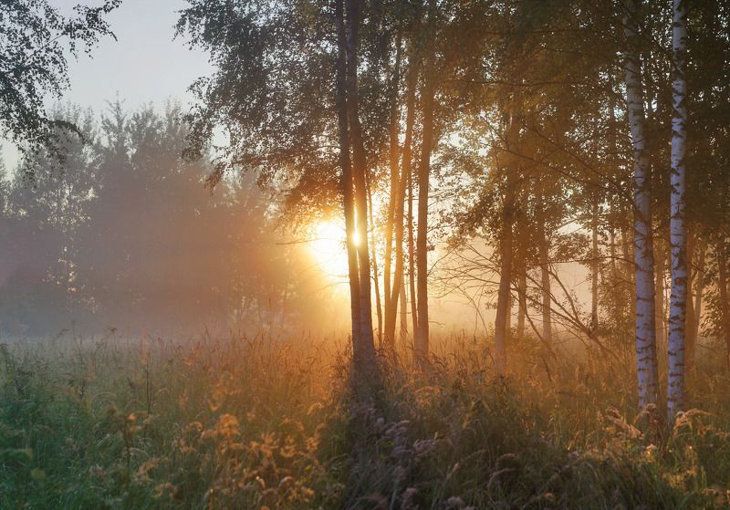 Восход. фото превью