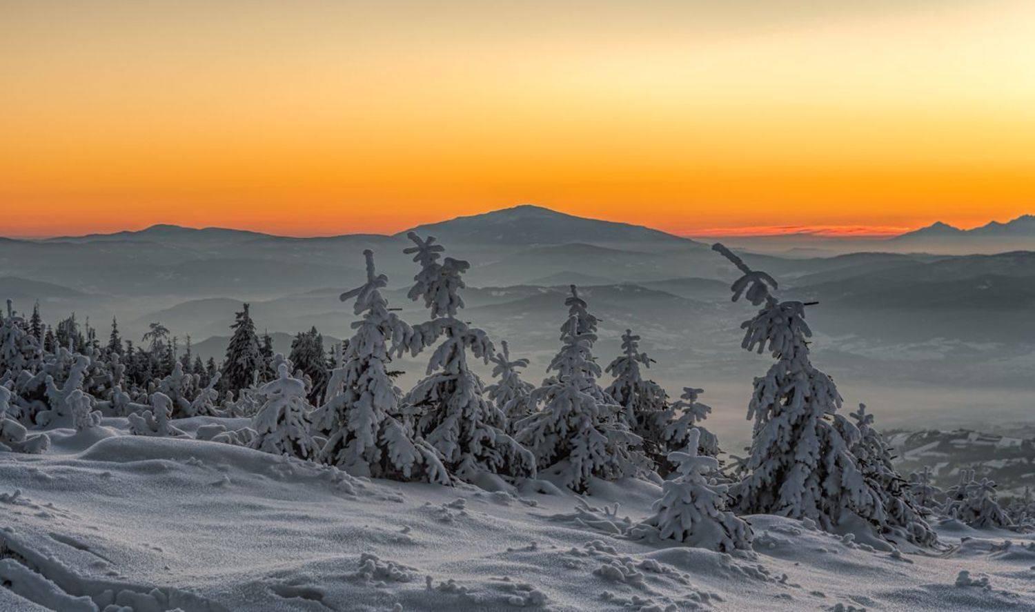 , Sławek Przybylski