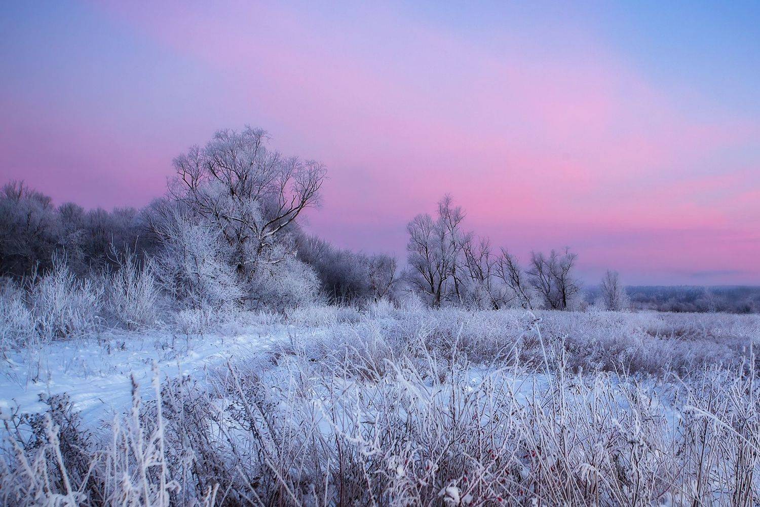 , Vyacheslav Lozhkin