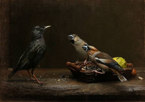 Иди отсюда, мальчик