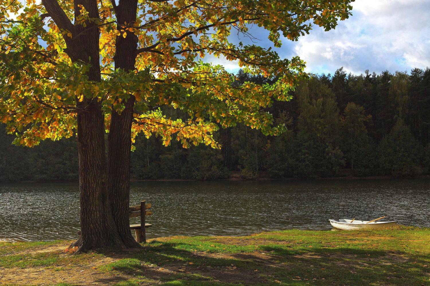 , Юрий Дёмин