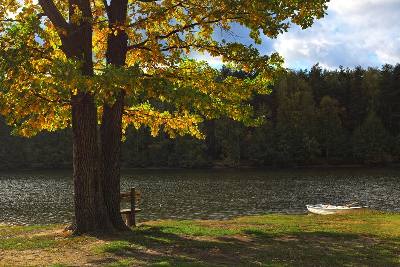 *** фото превью