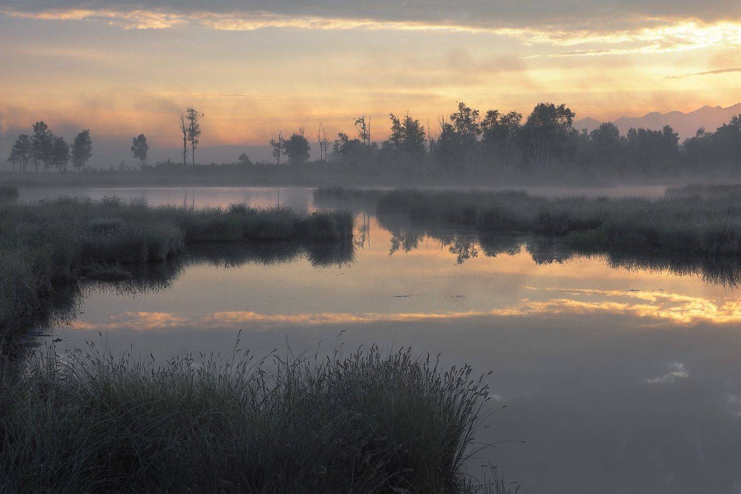, Александр Попов