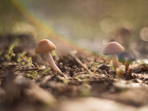 К зимнему солнцу...