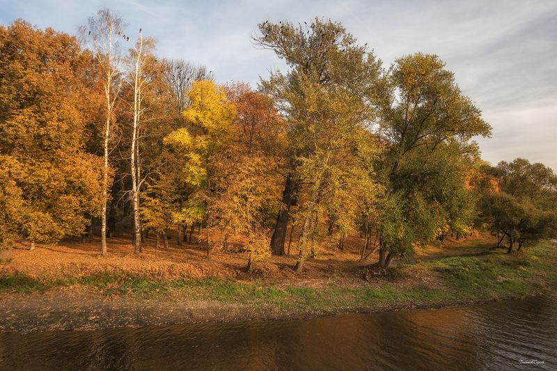 Грачи фото превью