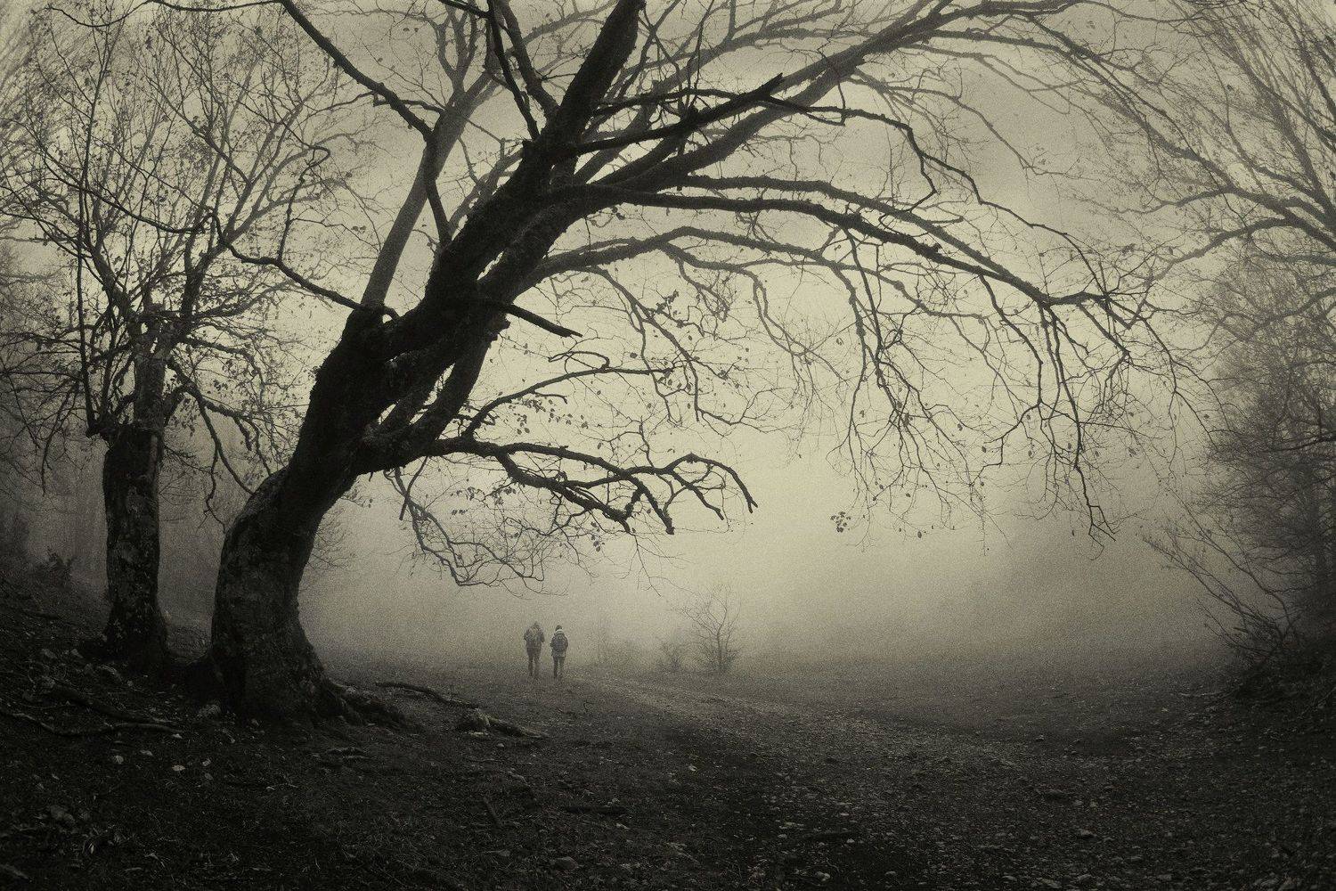 , Ирина Гайворонская