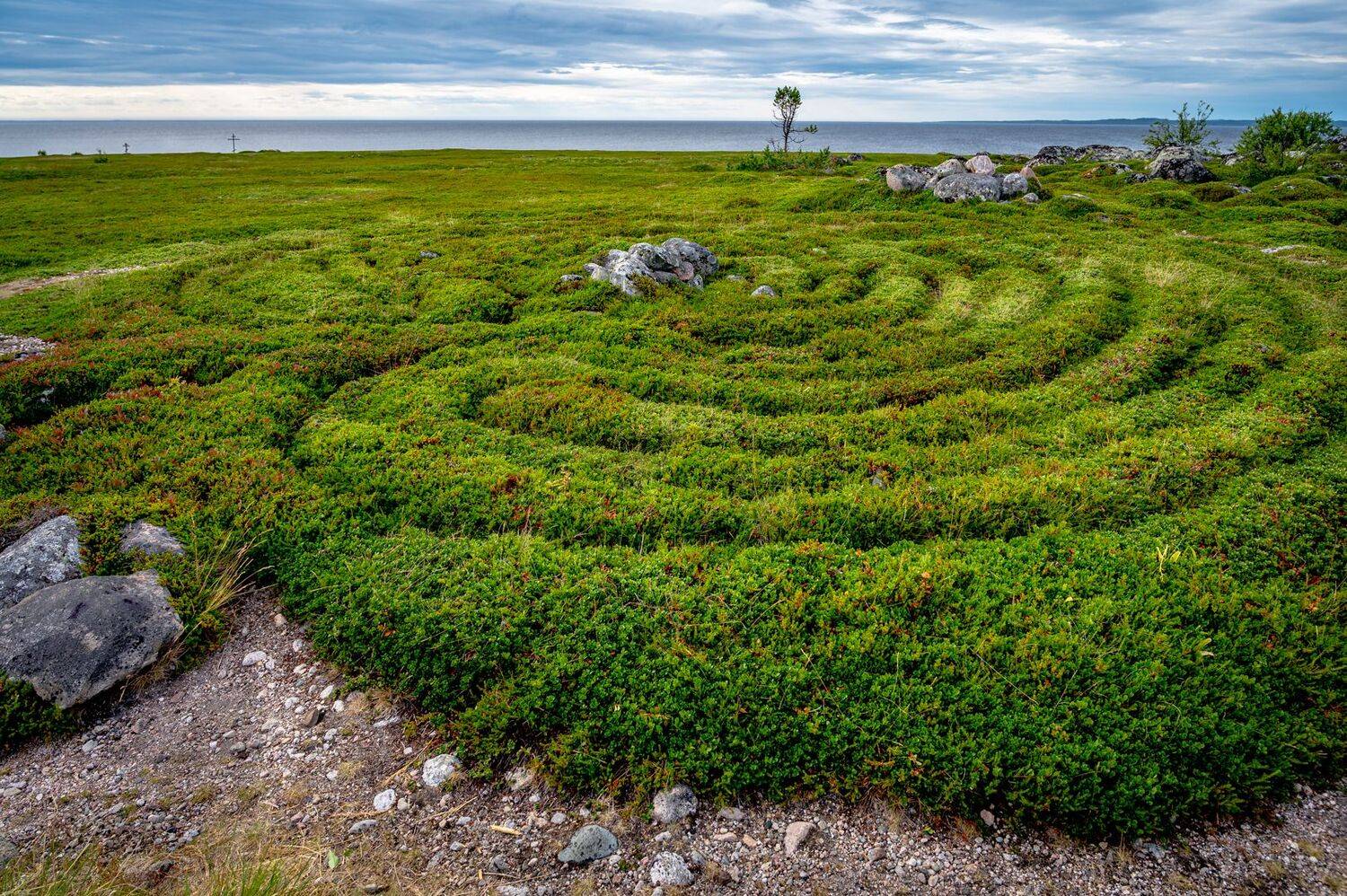 , Васильев Андрей