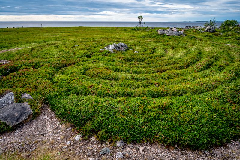 Соловки, лабиринты Заяцкого острова. фото превью