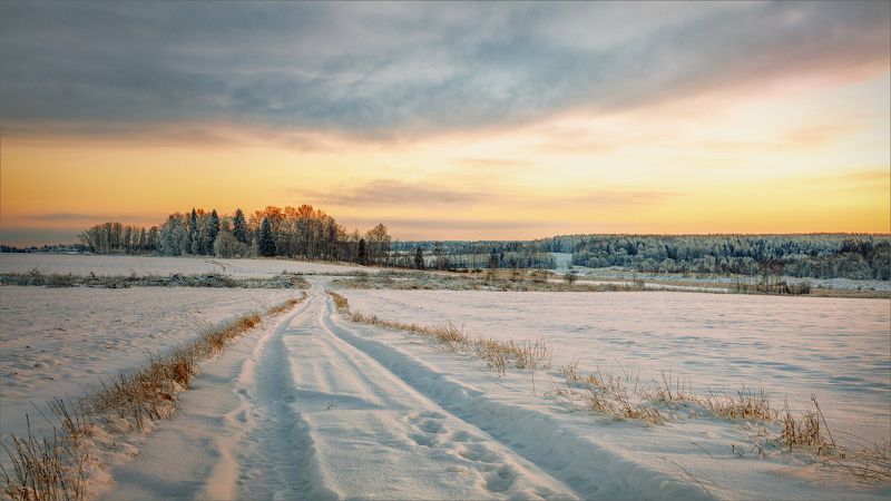 пейзаж, зима, вечер, деревня, дорога, свет, цвет, александр никитинский Зимний вечер в деревне... фото превью