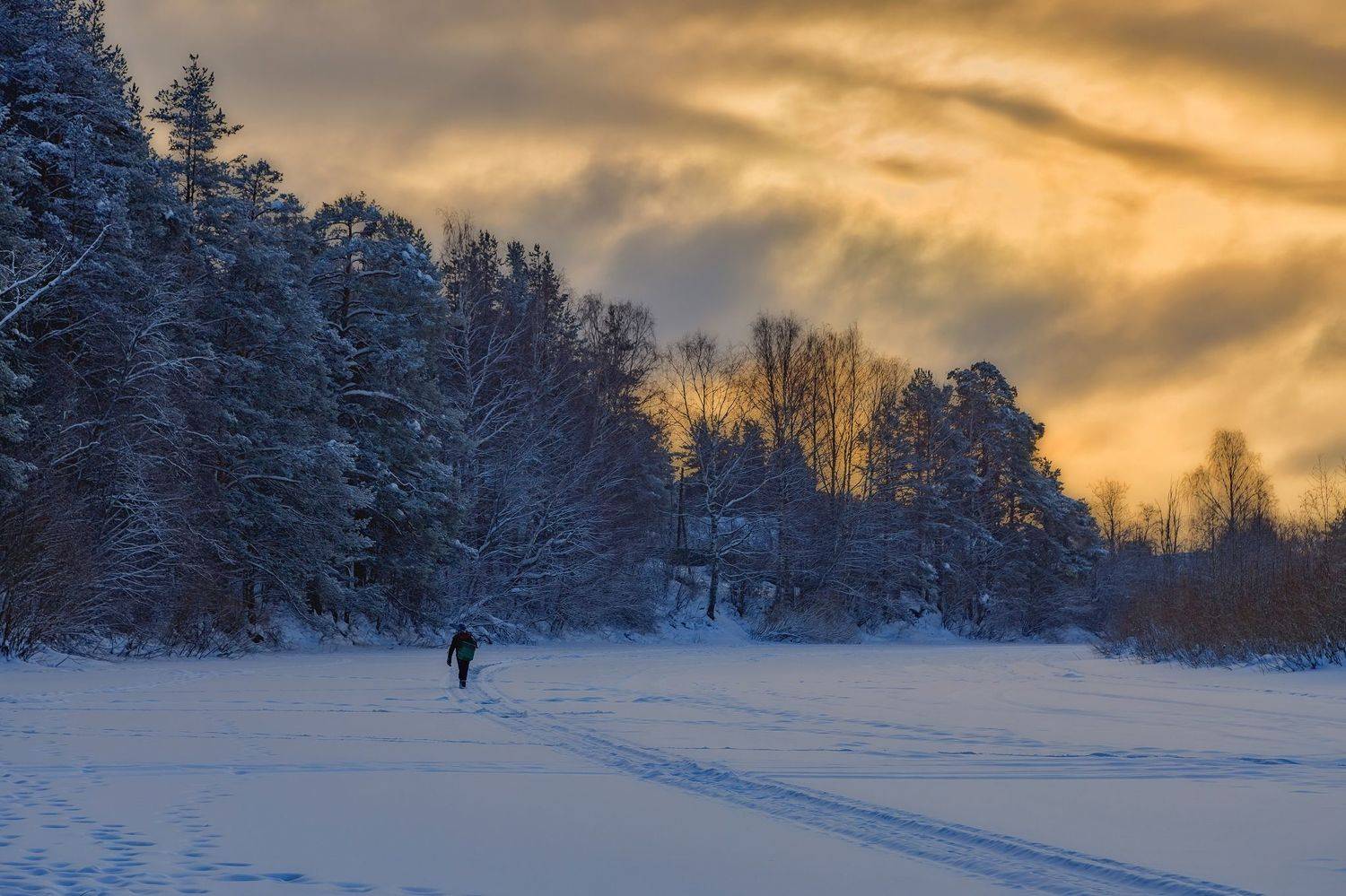 , Максим Подосинников