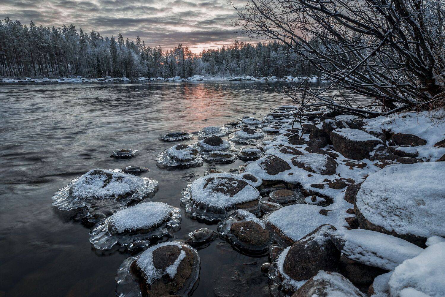 мурманская область, Гусева Елена