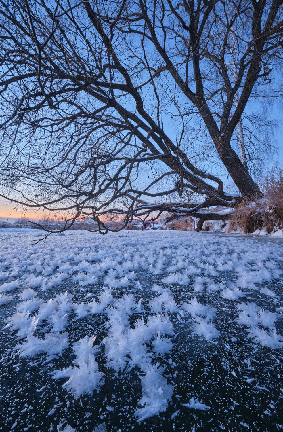 зима,река,лёд,подмосковье,кристаллы,мороз,пейзаж,дерево, Горшков Игорь