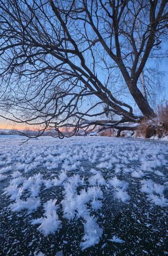 Морозные цветы на реке