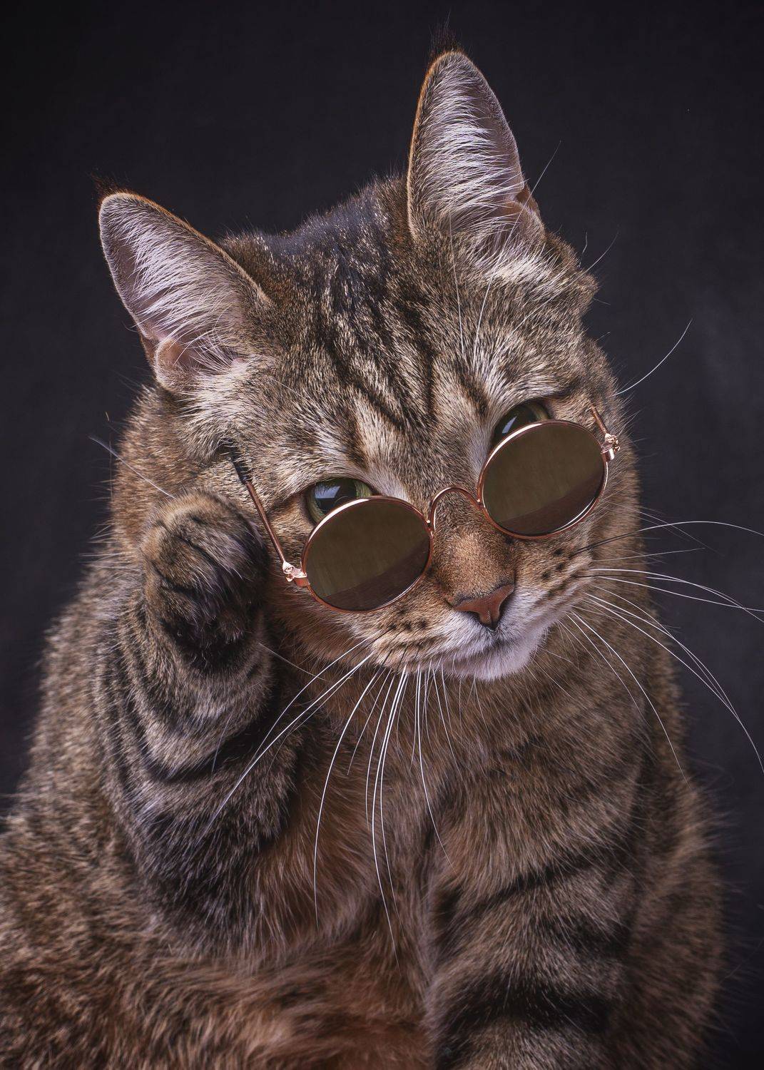 , Максим Вышарь