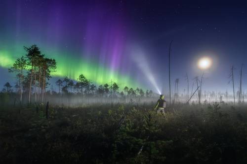 Созерцая небесный свет