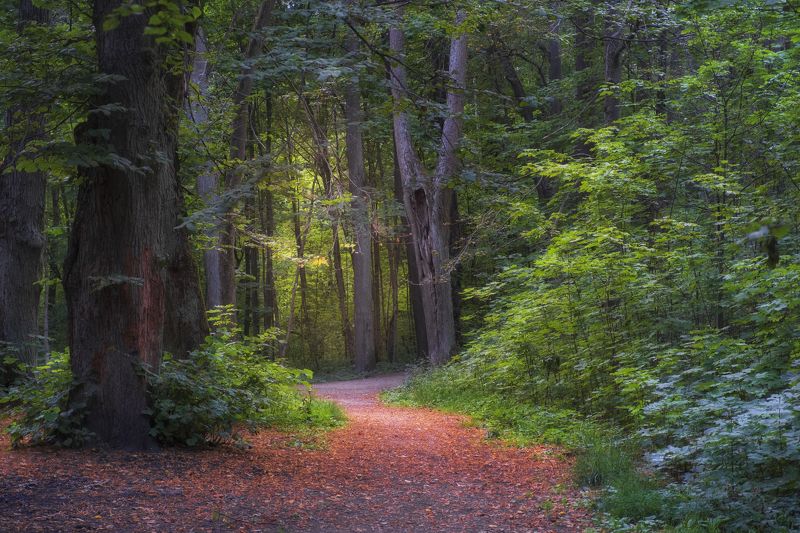 В Парке фото превью