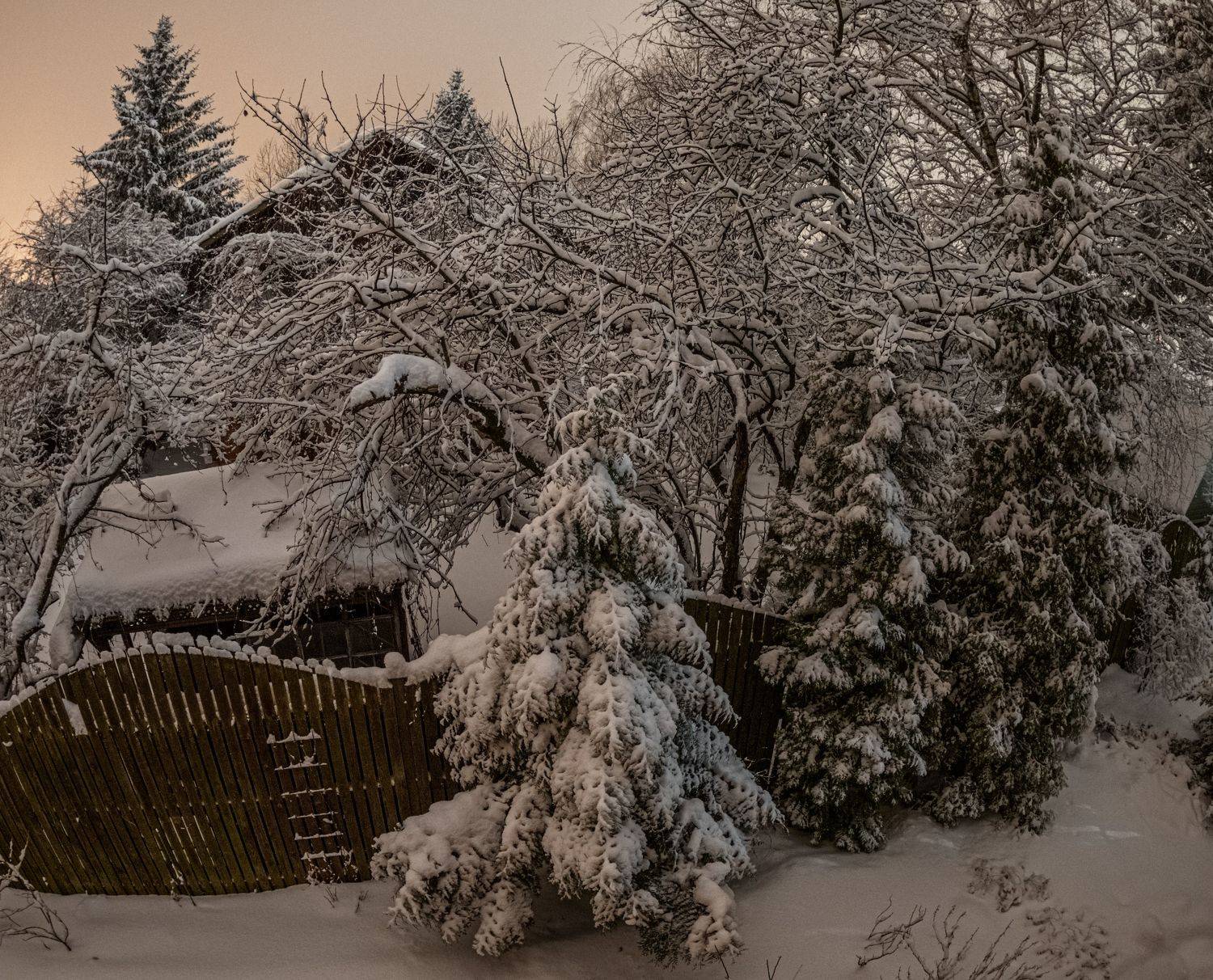 , Курлянцев Алексей