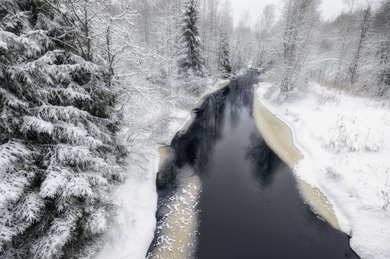 река зима декабрь снег мороз лед ель холод иней Зимы пришедшей волшебство фото превью