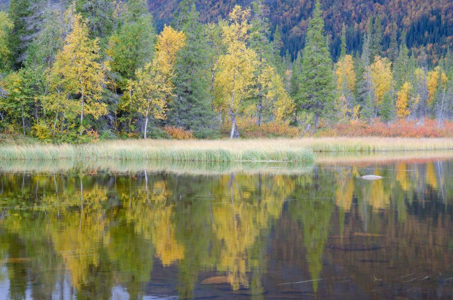 Сейдозеро, оз. Щучье, Юсупов Александр